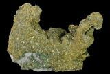 Marcasite Crystal Cluster on Druzy Quartz - Morocco #137145-1
